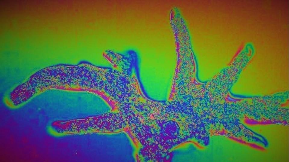 Ethereum bumps blob capacity as it gears for Fusaka upgrade Ethereum bumps blob capacity as it gears for Fusaka upgrade