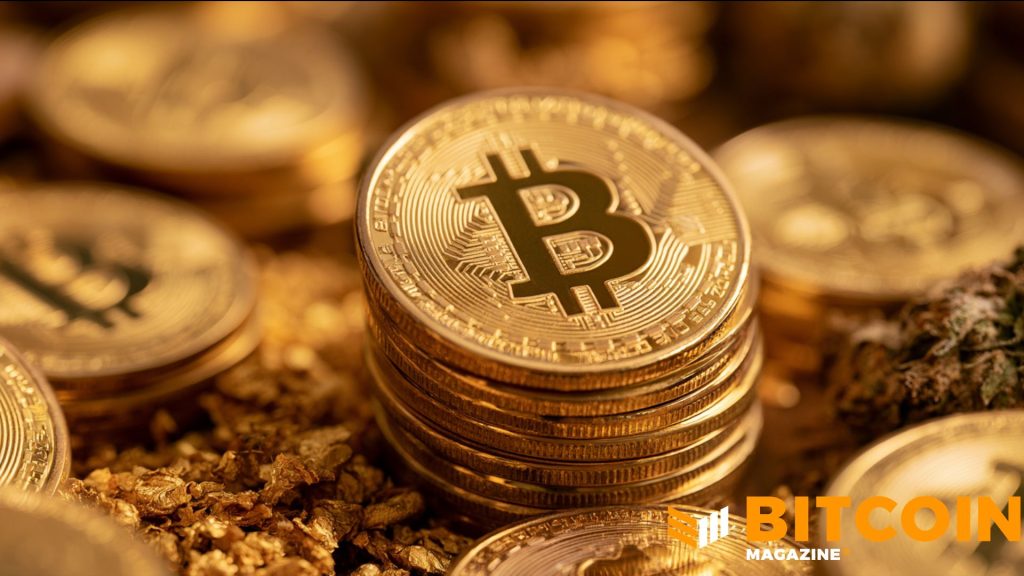 Edelman Financial, Tudor Investment Reveal Significant Bitcoin Holdings Mathew Di Salvo